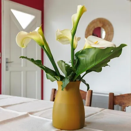 Maison Familiale Avec Jardin à Libourne, Calme, Proche Marché Et * Libourne